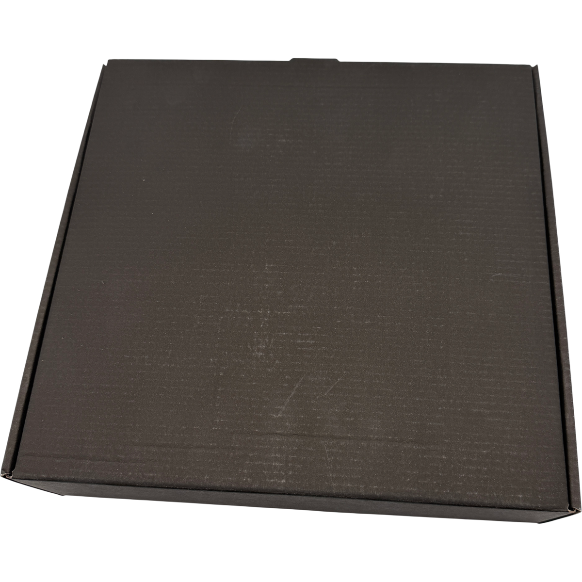 Risen 2 Dark Waters Collectors Edition