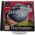 Sheep!