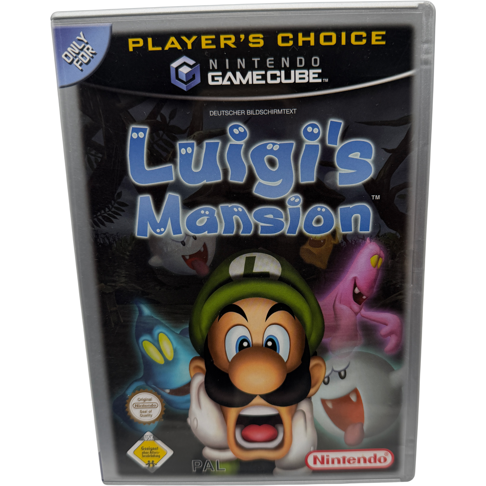 Luigi's Mansion