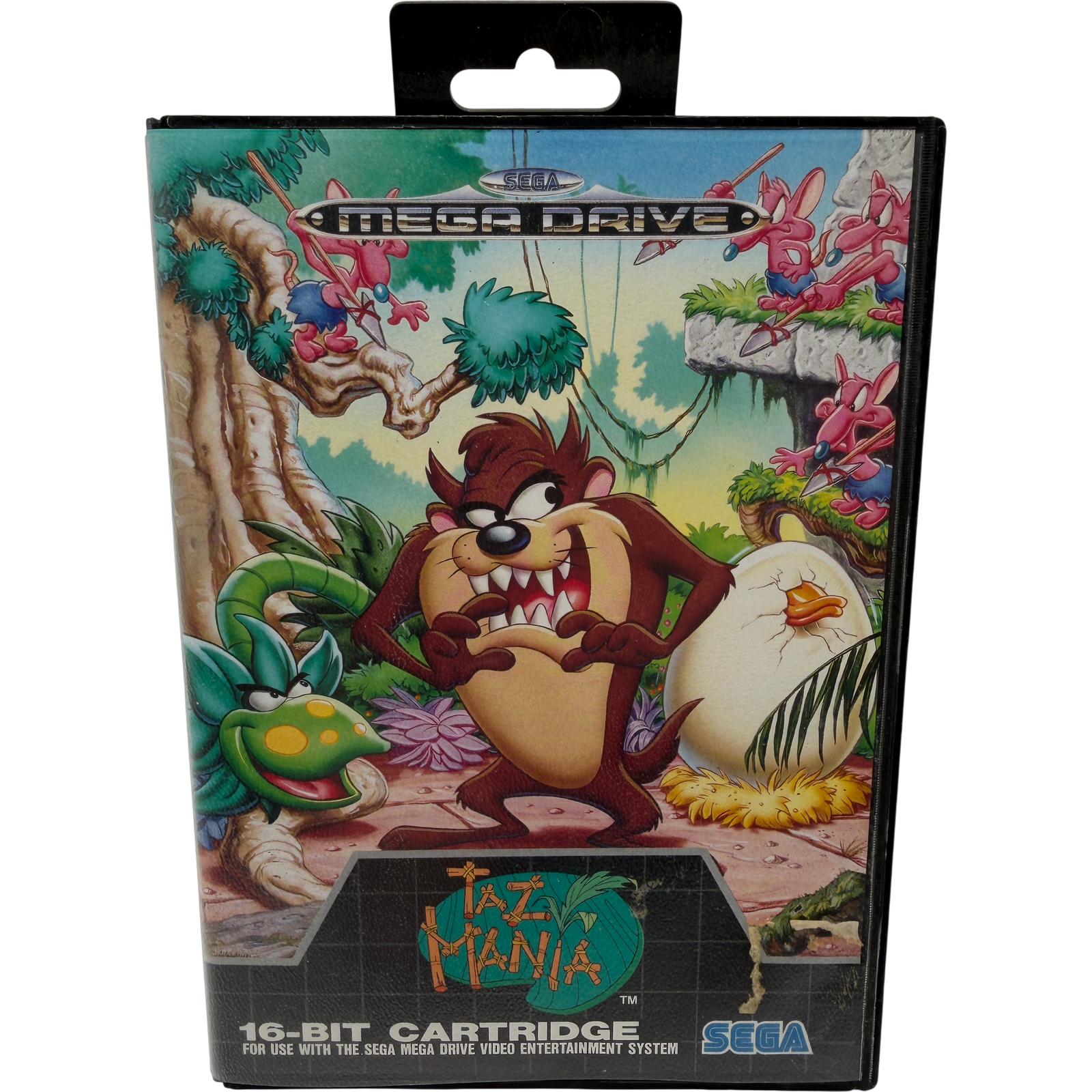 Tazmania