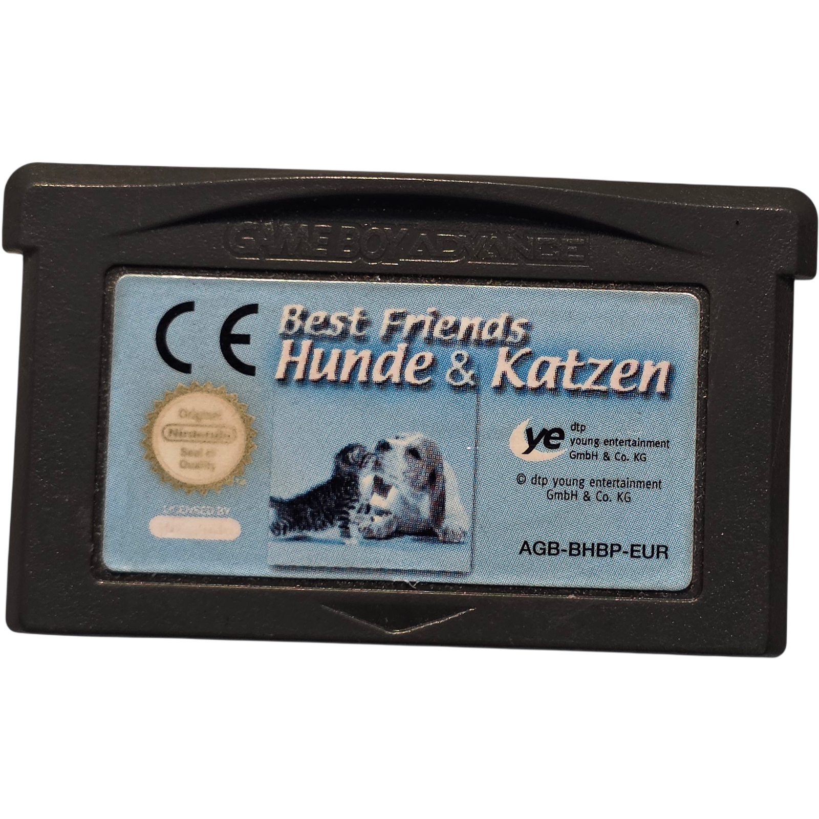 Best Friends Hunde und Katzen